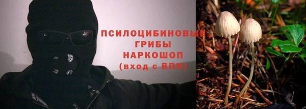 прущий лед Верея