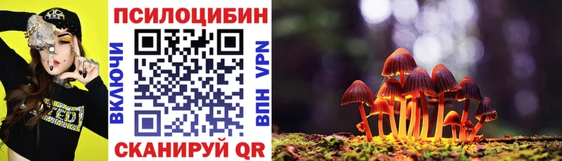 где можно купить   блэк спрут вход  Галлюциногенные грибы прущие грибы  Калачинск 